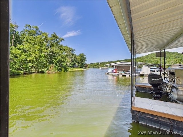 194 Jasmine Dr, Sunrise Beach, MO 65079 - photo 41