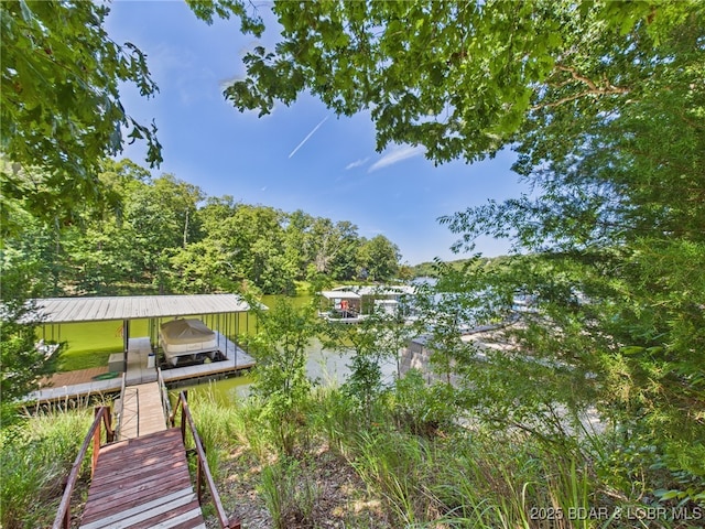 194 Jasmine Dr, Sunrise Beach, MO 65079 - photo 43