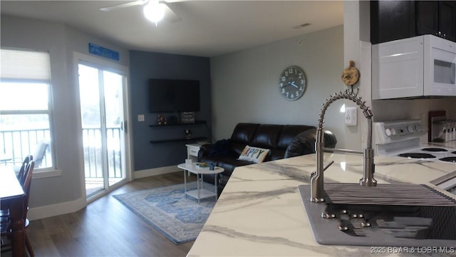 575 Park Place Dr Unit 2B, Kaiser, MO 65047 - living room with a ceiling fan and wood finished floors