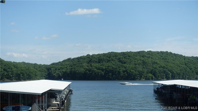 575 Park Place Dr Unit 2B, Kaiser, MO 65047 - dock featuring a forest view and a water view