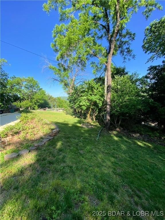 64 Fox Point Dr, Roach, MO 65787 - view of green lawn