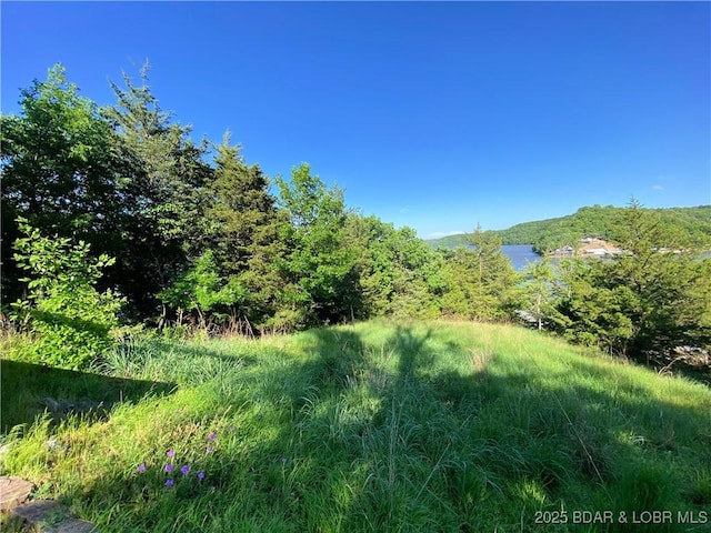 64 Fox Point Dr, Roach, MO 65787 - view of wooded area