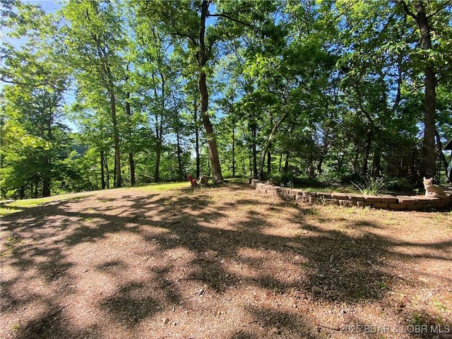 64 Fox Point Dr, Roach, MO 65787 - view of yard