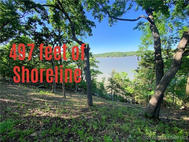 64 Fox Point Dr, Roach, MO 65787 - photo 6