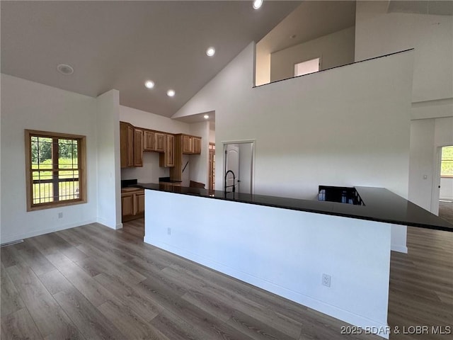 1378 Full Gallop Ln, Roach, MO 65787 - kitchen featuring dark countertops, high vaulted ceiling, recessed lighting, wood finished floors, and healthy amount of natural light