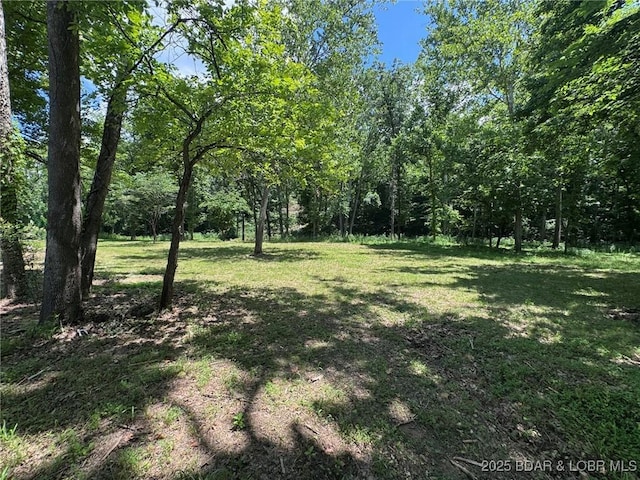 1378 Full Gallop Ln, Roach, MO 65787 - view of grassy yard featuring a forest view