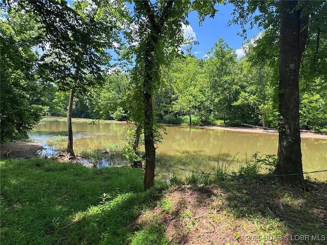 1378 Full Gallop Ln, Roach, MO 65787 - view of yard with a water view and a forest view
