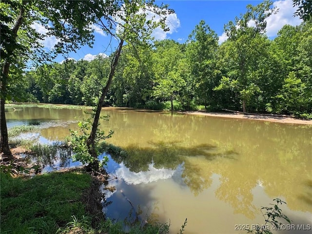 1378 Full Gallop Ln, Roach, MO 65787 - photo 44