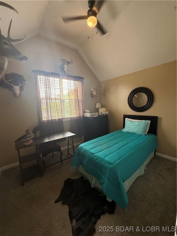 1720 Lakeview Dr, Chillicothe, MO 64601 - bedroom featuring lofted ceiling, carpet floors, and ceiling fan