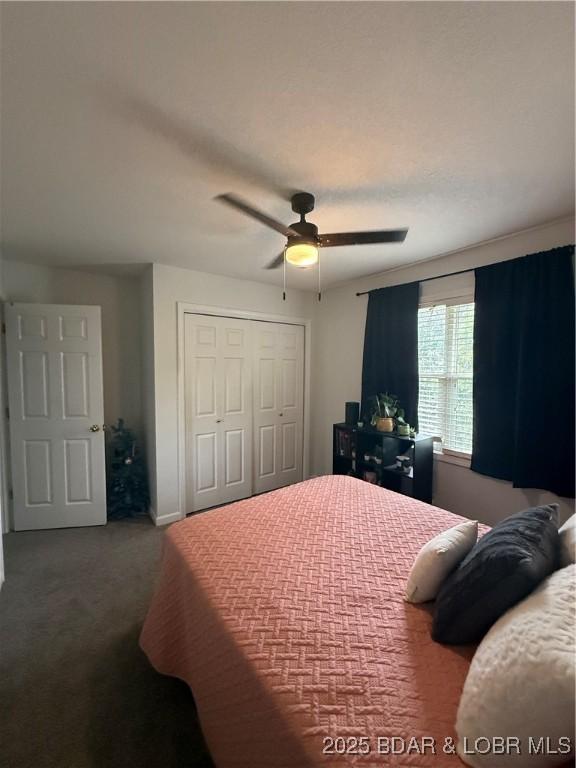 1720 Lakeview Dr, Chillicothe, MO 64601 - carpeted bedroom featuring a closet and a ceiling fan