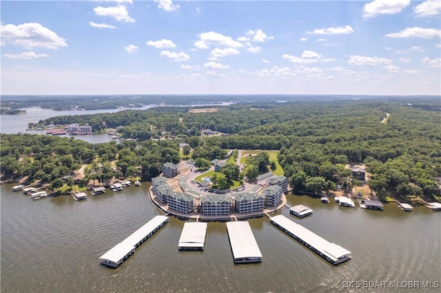 163 Evergreen Condo Dr Unit 2A, Sunrise Beach, MO 65079 - photo 29