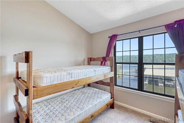 267 Osage Heritage Dr Unit 2D, Linn Creek, MO 65052 - photo 33
