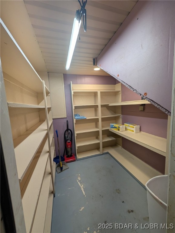 742 Pappys Pt, Sunrise Beach, MO 65079 - view of storage area