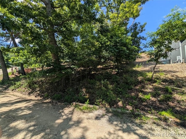 742 Pappys Pt, Sunrise Beach, MO 65079 - view of yard