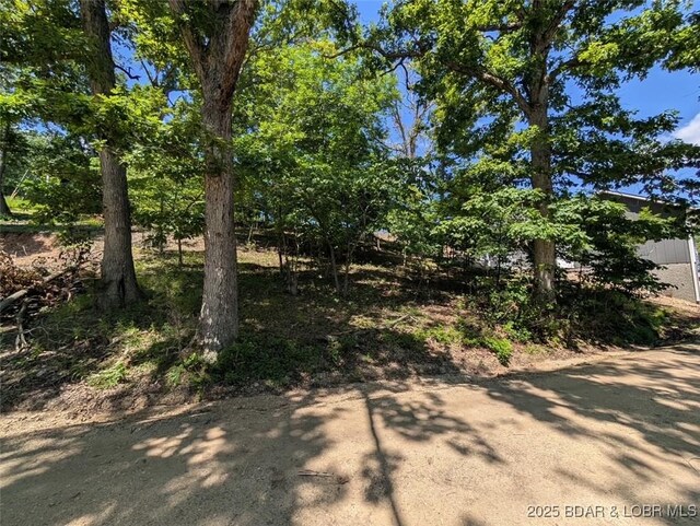 742 Pappys Pt, Sunrise Beach, MO 65079 - view of yard