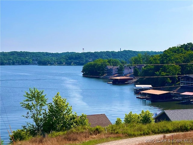 742 Pappys Pt, Sunrise Beach, MO 65079 - water view featuring a heavily wooded area