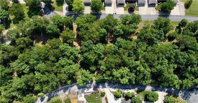 LOT27A Lancelot Ct, Camdenton, MO 65020 - photo 4