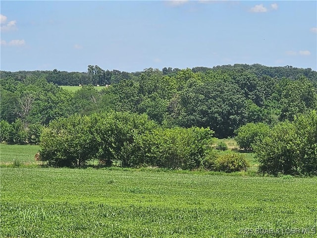 TBD Miller Rd, Eldon, MO 65026 - photo 13