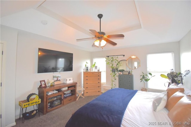 1207 SW 9th St, Oak Grove, MO 64075 - bedroom with carpet floors, ceiling fan, and a raised ceiling