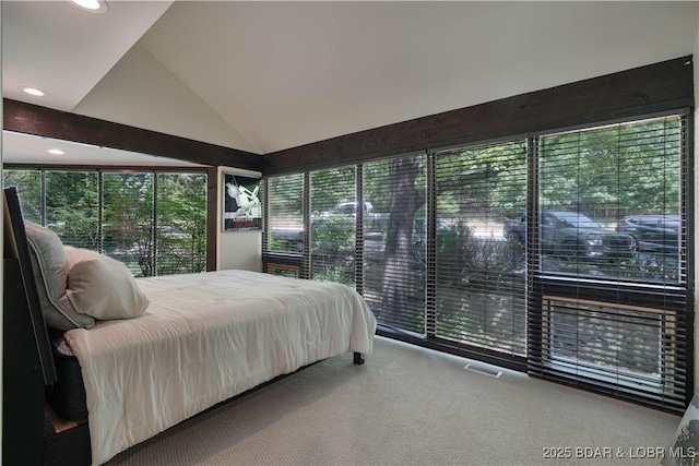 328 Hogan Dr Unit C 5124, Lake Ozark, MO 65049 - photo 12