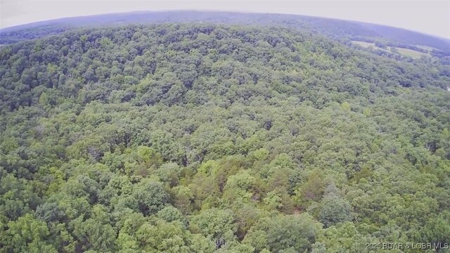 TBD Coelleda School Rd, Roach, MO 6587 - photo 13