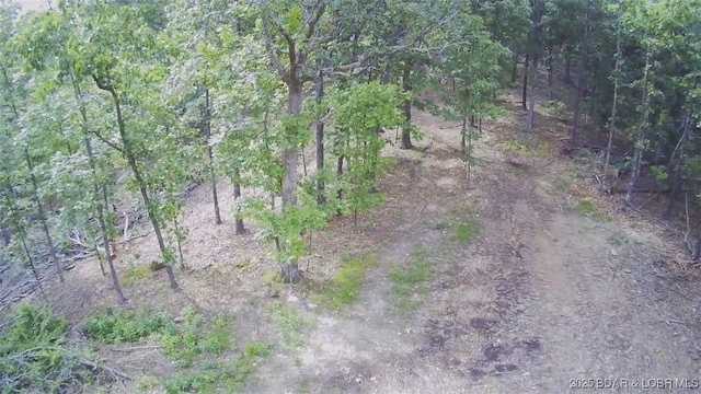TBD Coelleda School Rd, Roach, MO 6587 - photo 14