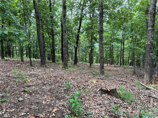 TBD Coelleda School Rd, Roach, MO 6587 - photo 2