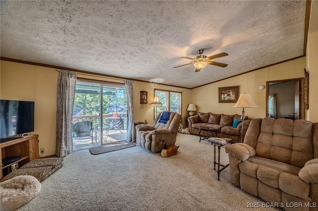 33315 Greenwood Rd, Gravois Mills, MO 65037 - photo 9