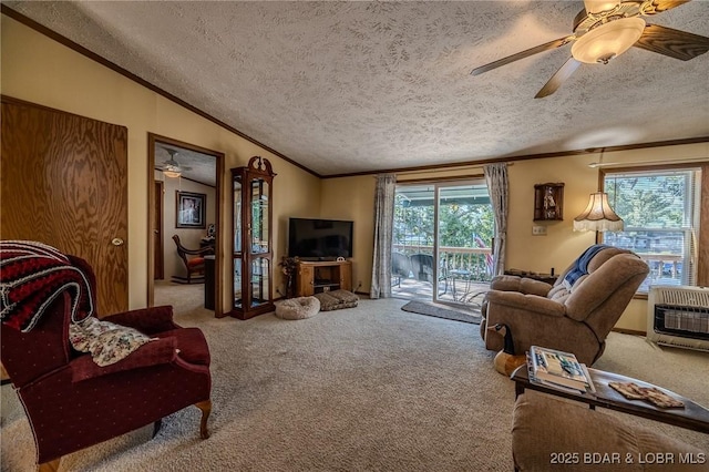 33315 Greenwood Rd, Gravois Mills, MO 65037 - photo 13
