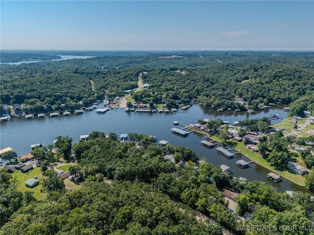 33315 Greenwood Rd, Gravois Mills, MO 65037 - photo 32