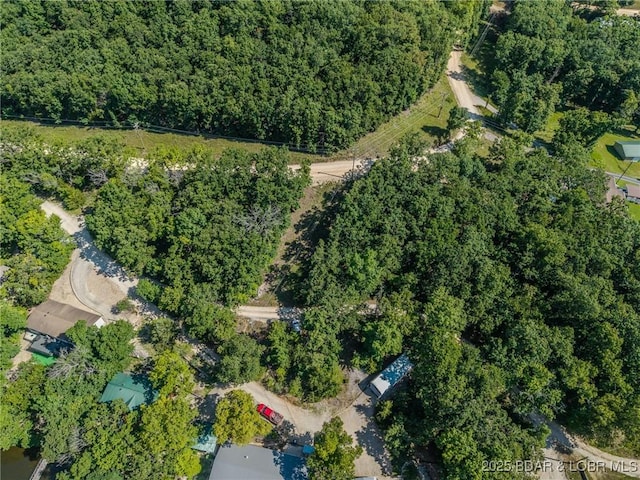 33315 Greenwood Rd, Gravois Mills, MO 65037 - photo 41