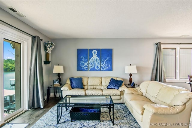 889 Malibu Rd Unit 63, Osage Beach, MO 65049 - living area featuring a textured ceiling and wood finished floors
