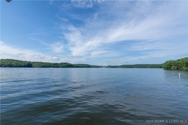 889 Malibu Rd Unit 63, Osage Beach, MO 65049 - photo 41