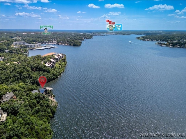 1479 Cedar Village, Osage Beach, MO 65065 - photo 47