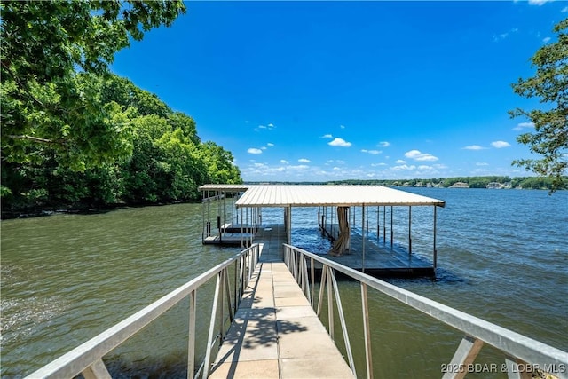 1479 Cedar Village, Osage Beach, MO 65065 - photo 39