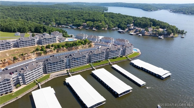 895 Summer Place Dr Unit 3A, Camdenton, MO 65020 - bird's eye view of a forest and a large body of water