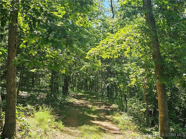 TBD Outback Rd, Barnett, MO 65011