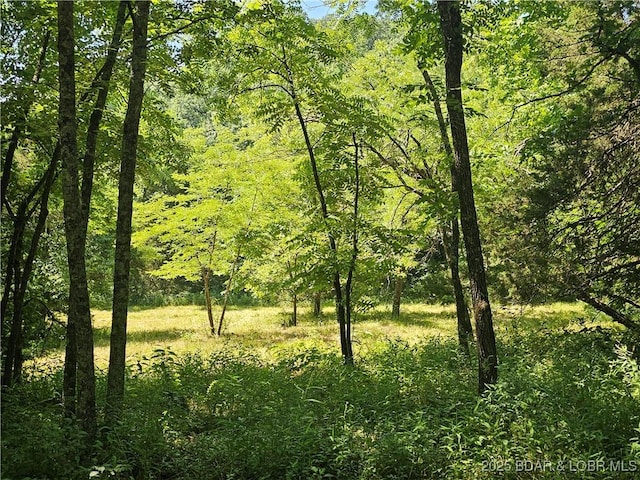 TBD Outback Rd, Barnett, MO 65011