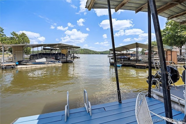 68 Sy Acres Dr, Gravois Mills, MO 65037 - photo 35