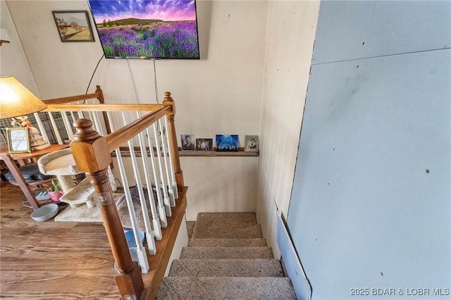 740 Twin Valley Loop, Linn Creek, MO 65052 - view of stairway