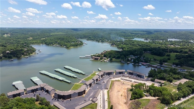 133 Cedar Glen Dr Unit 3B, Camdenton, MO 65020 - drone / aerial view of a large body of water and a forest