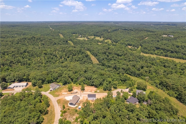 40 Walnut Ct, Eldon, MO 65026 - photo 42