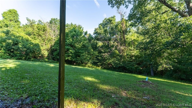 124 Frontier Cir, Linn Creek, MO 65052 - view of green lawn