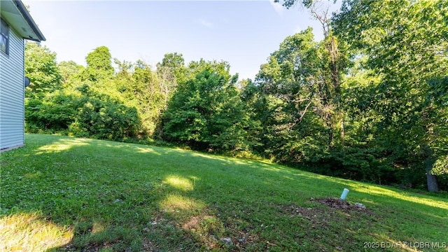 124 Frontier Cir, Linn Creek, MO 65052 - view of green lawn