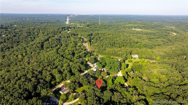 124 Frontier Cir, Linn Creek, MO 65052 - aerial view of property's location with a forest