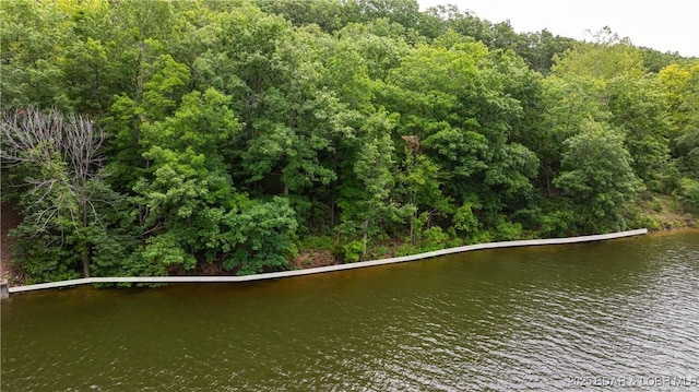 LOT12 White Horse Cir, Rocky Mount, MO 65037 - photo 2