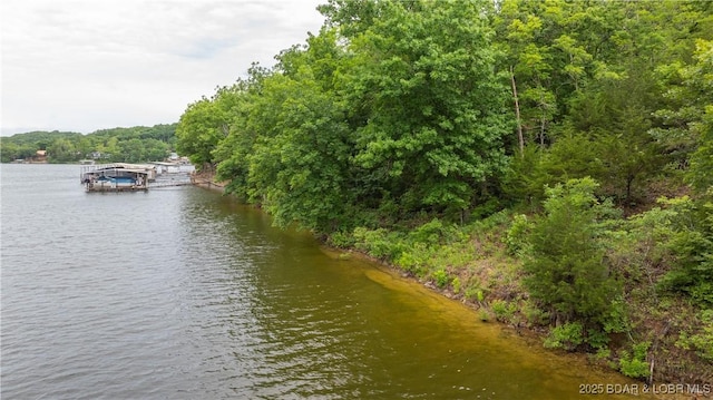 LOT12 White Horse Cir, Rocky Mount, MO 65037 - photo 3