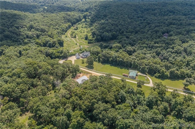 1480 Copperstone Rd, Camdenton, MO 65020 - bird's eye view of a forest