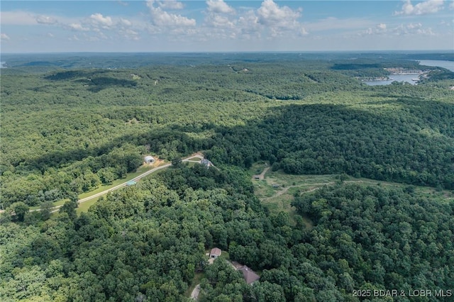 1480 Copperstone Rd, Camdenton, MO 65020 - aerial overview of property's location featuring a heavily wooded area and a large body of water