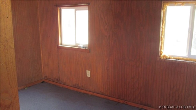 87 Central Ozarks Rd, Edwards, MO 65326 - carpeted spare room featuring healthy amount of natural light and wood walls